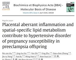 孕妇先兆子痫影响后代健康的机制