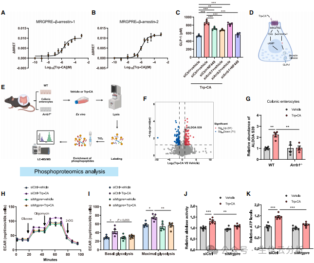 2026020318 2026020318