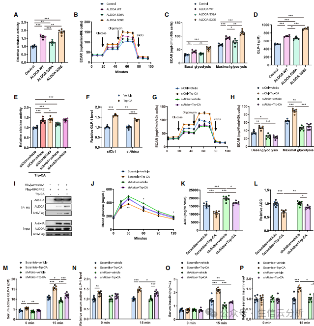 2026020319 2026020319