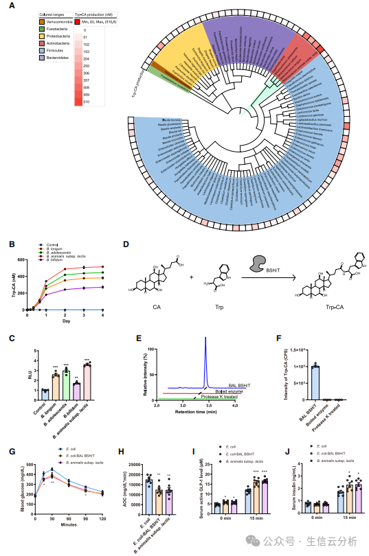 2026020320 2026020320