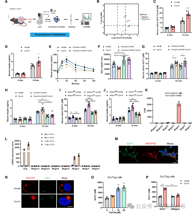 2026020316 2026020316