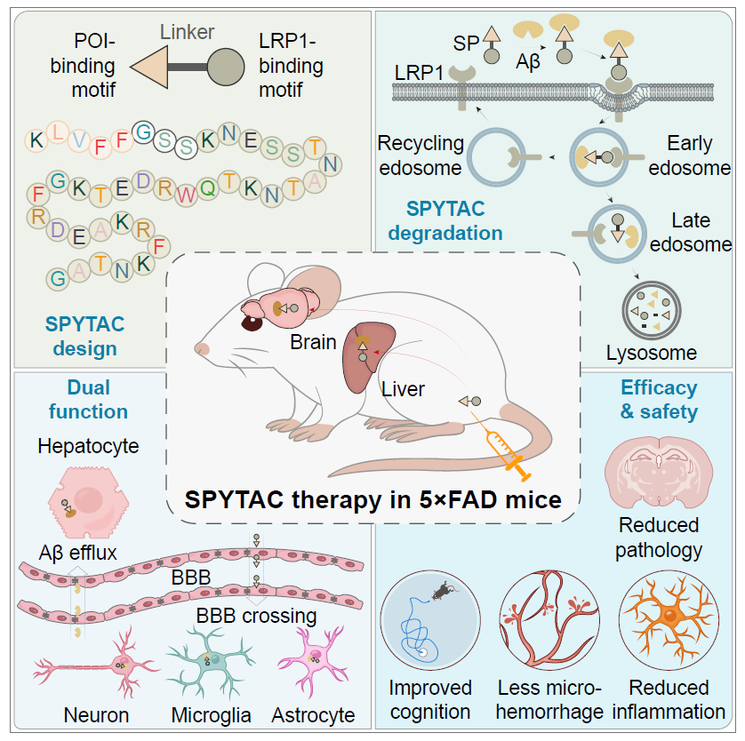 微信图片_2026-03-05_093256_527